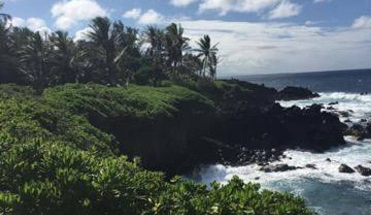 Photo of Others in Nanawale Estates