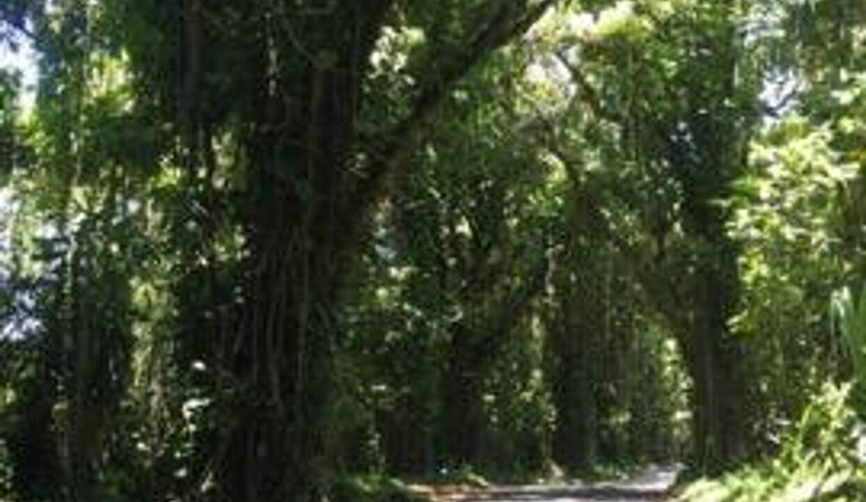 Photo of Others in Nanawale Estates