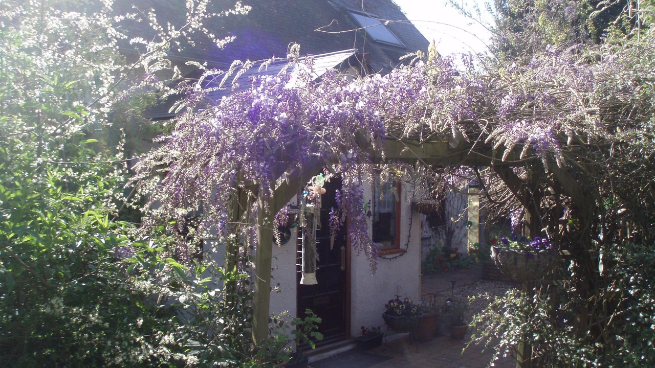 Photo of Others in Chigne