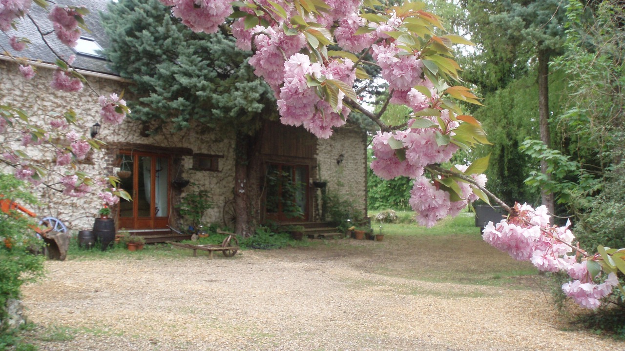 Photo of Others in Chigne
