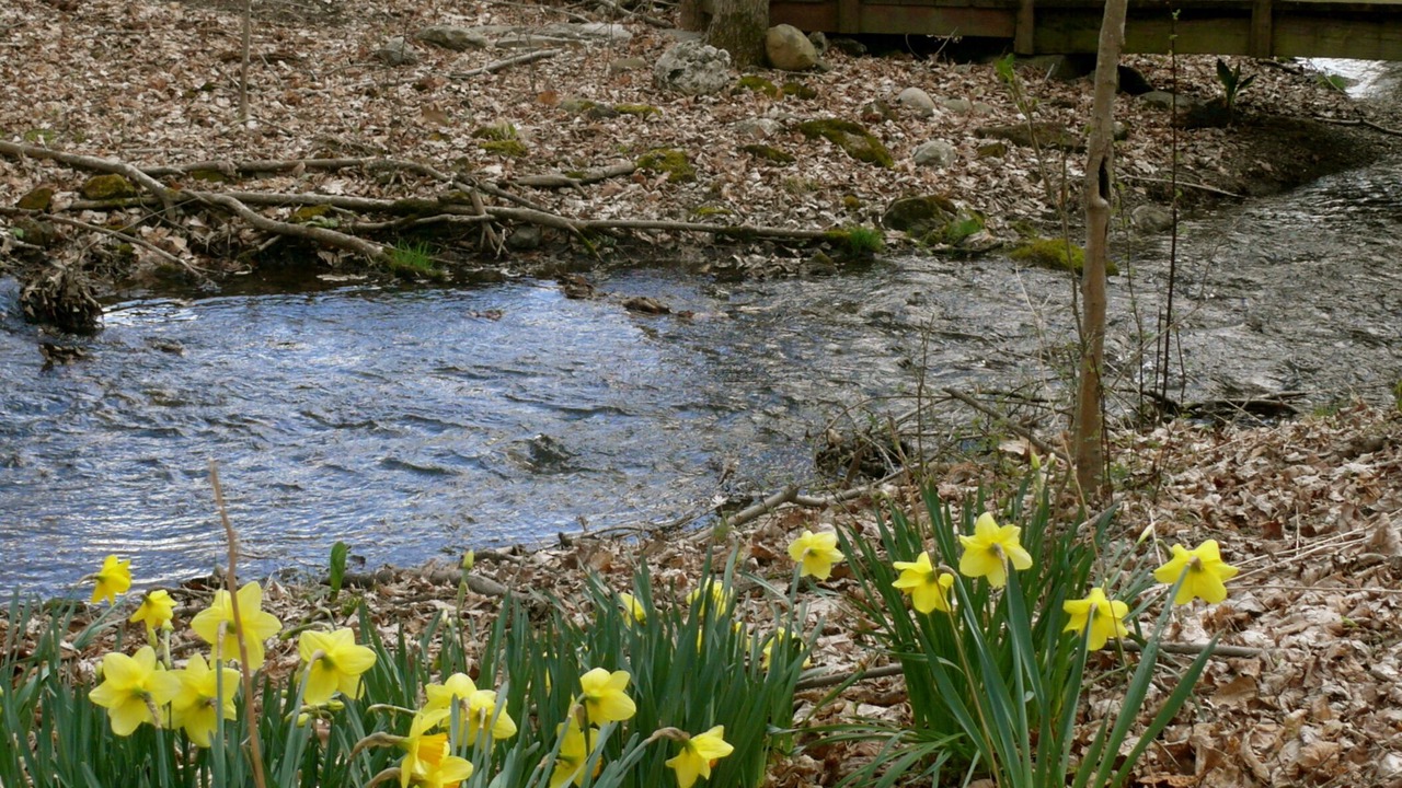 Photo of Outdoor in Stanfordville