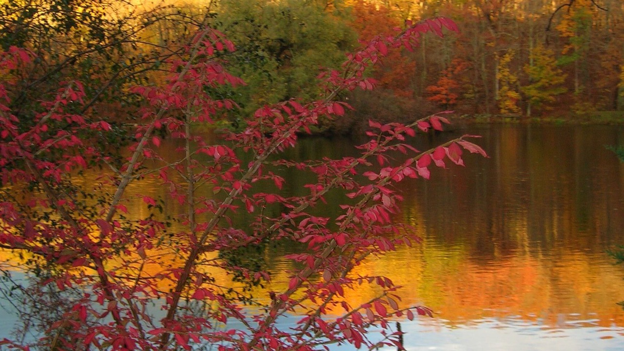 Photo of Outdoor in Stanfordville