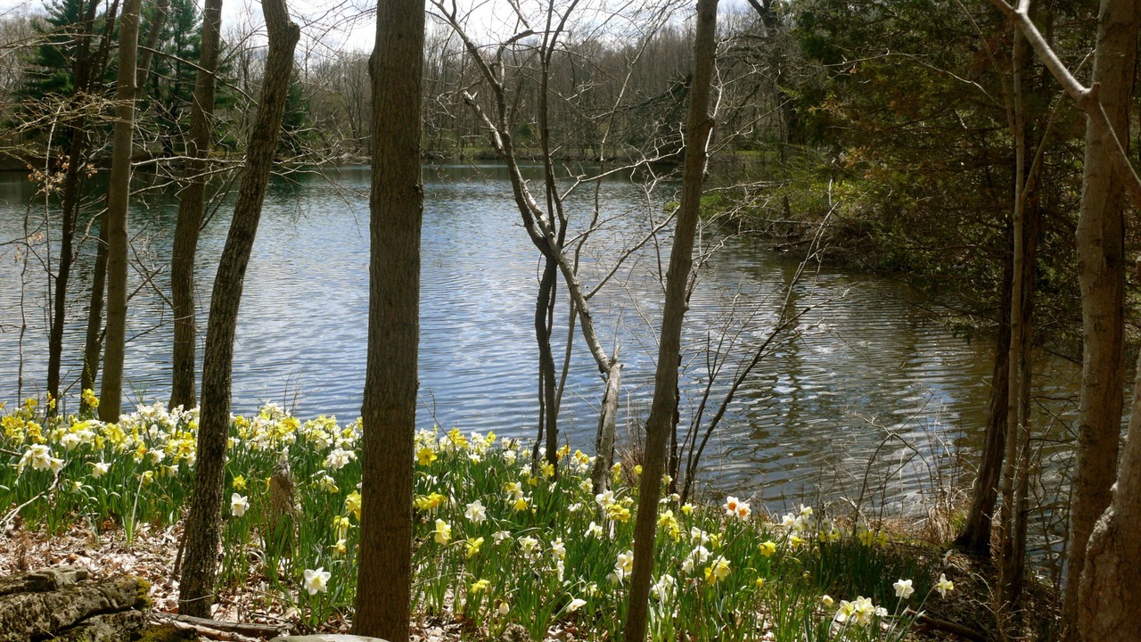 Photo of Outdoor in Stanfordville