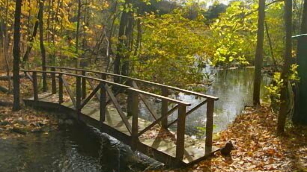 Photo of Outdoor in Stanfordville