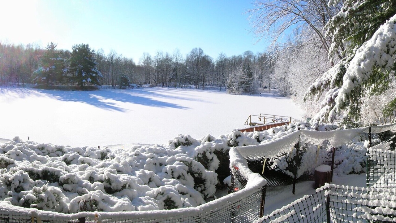 Photo of Others in Stanfordville