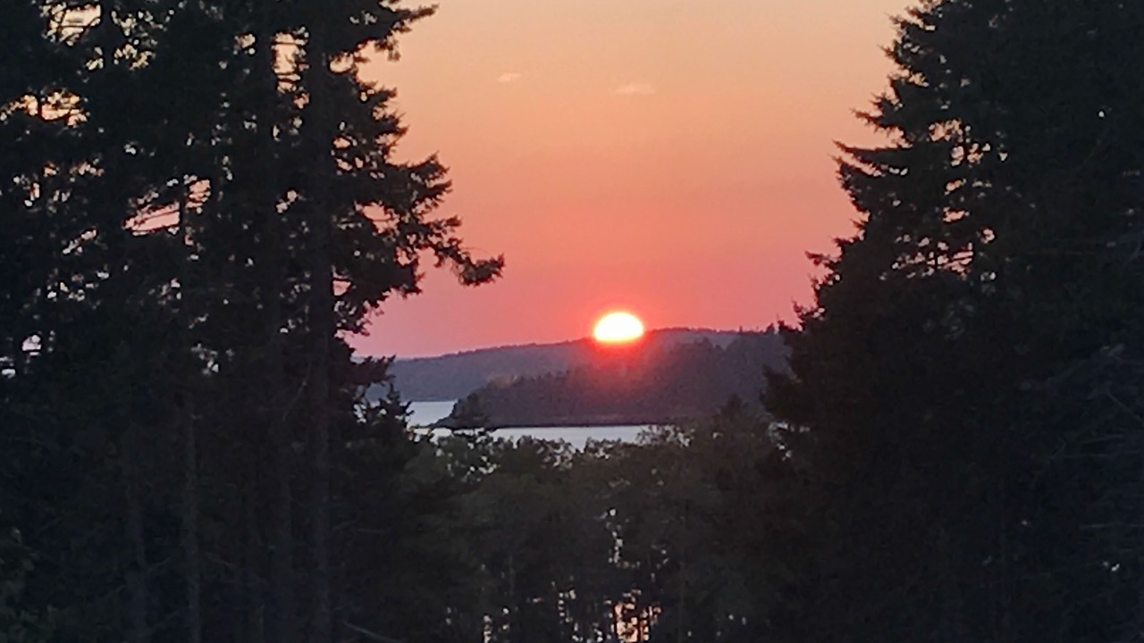 Photo of Others in Seal Cove
