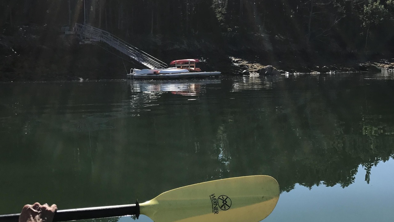 Photo of Others in Seal Cove