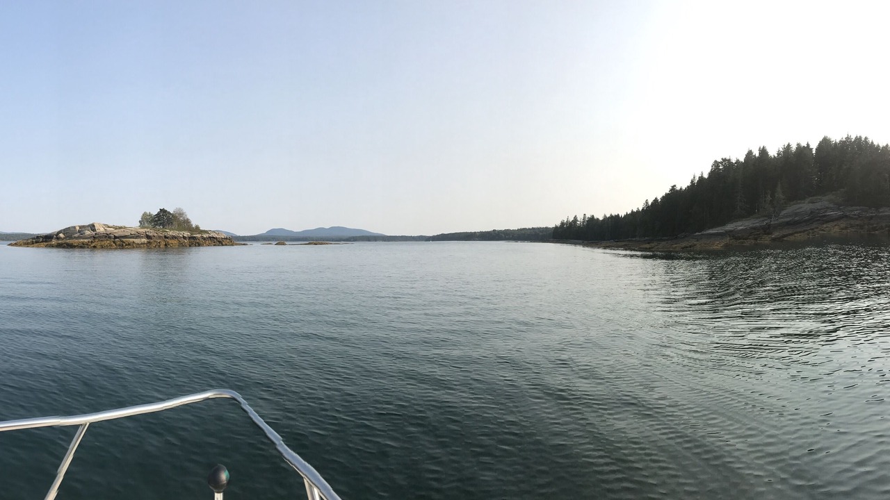 Photo of Others in Seal Cove