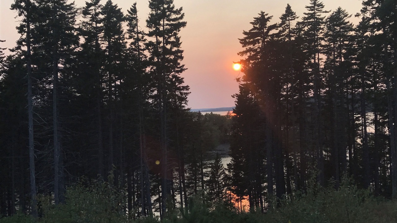 Photo of Outdoor in Seal Cove