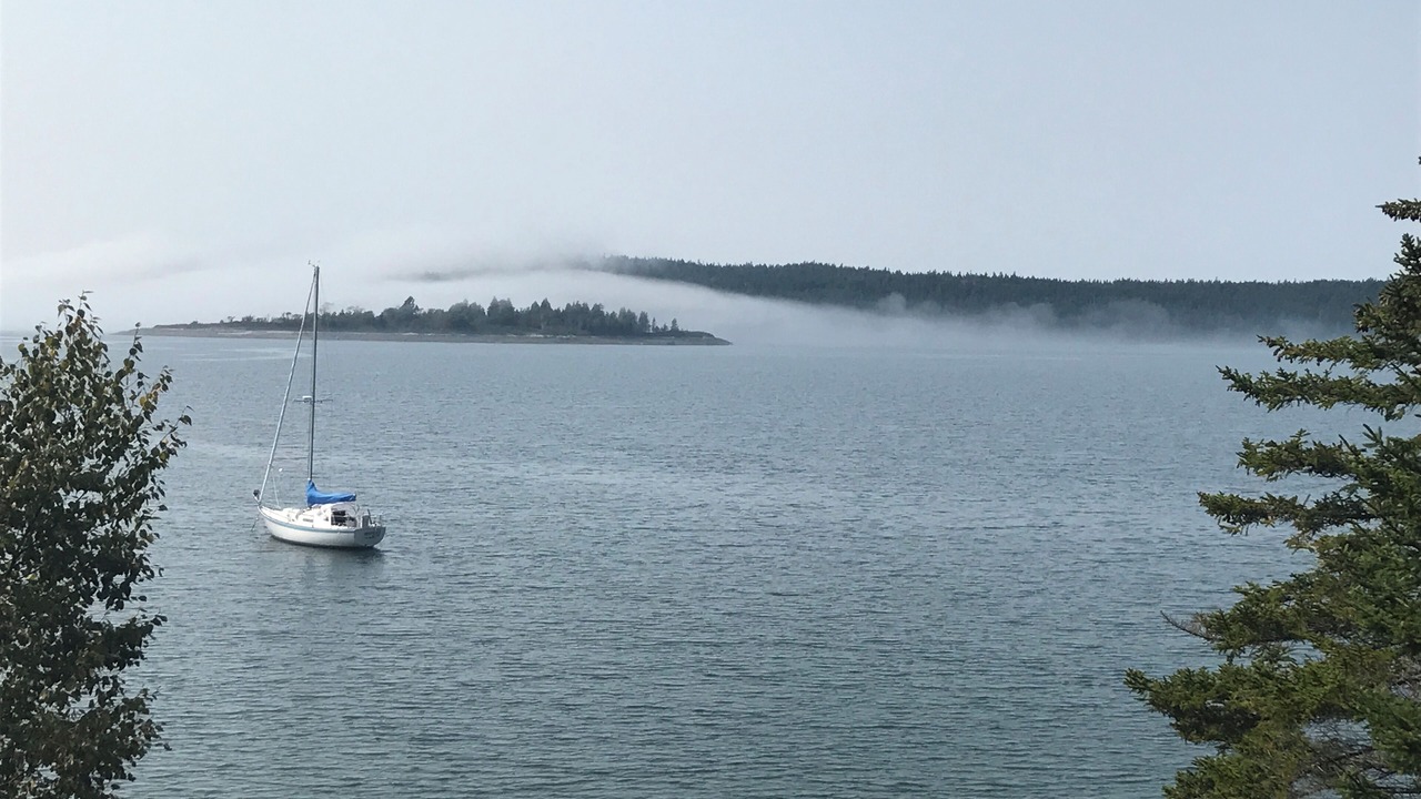 Photo of Others in Seal Cove