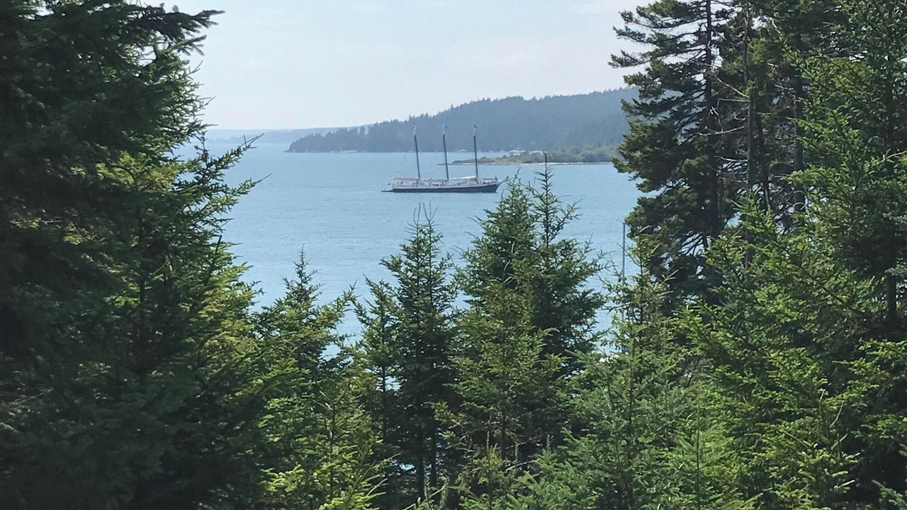 Photo of Outdoor in Seal Cove