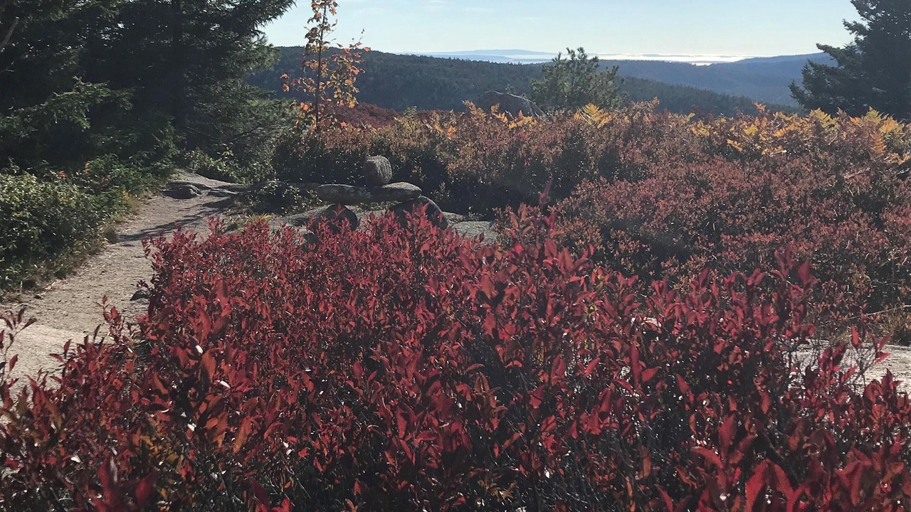 Photo of Outdoor in Seal Cove