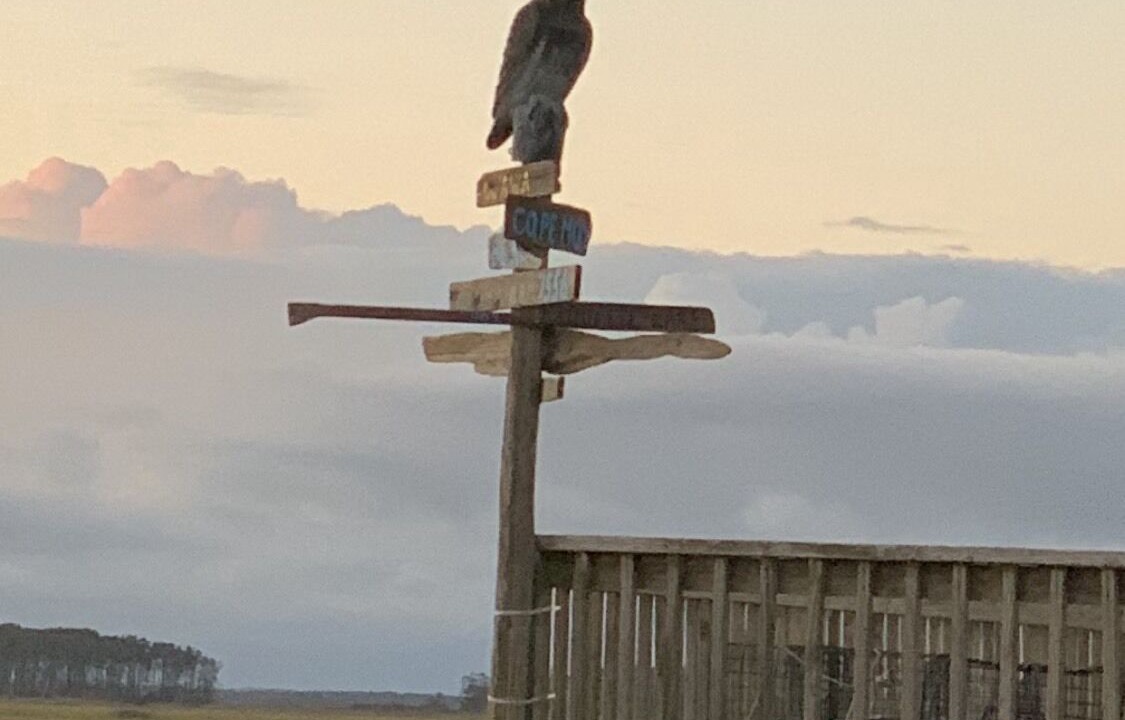 Photo of Others in Cedarville