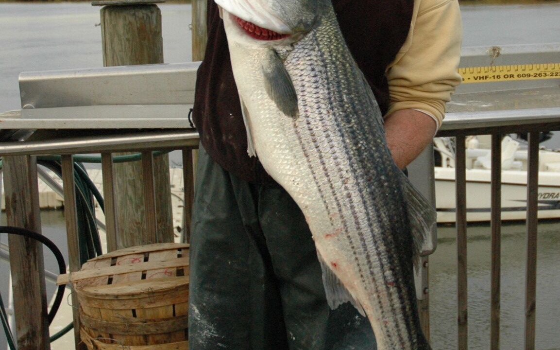 Photo of Others in Cedarville