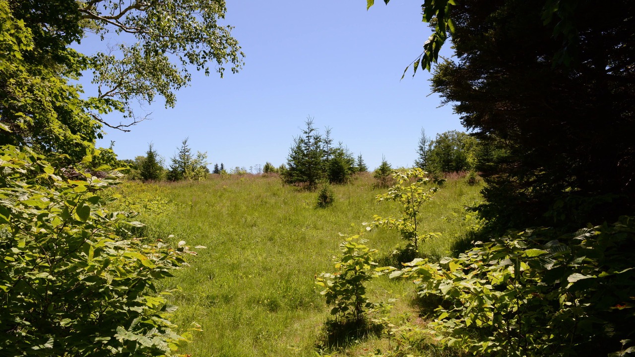 Photo of Outdoor in Annapolis County