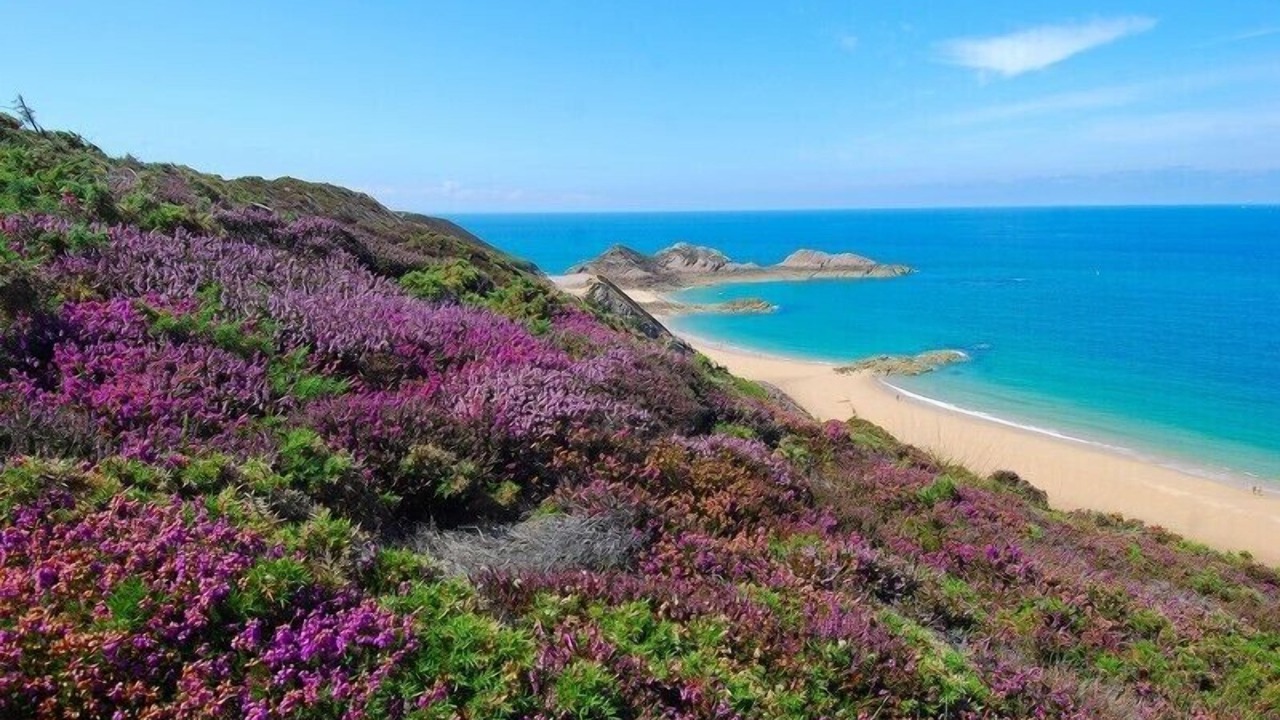 Photo of Others in Erquy