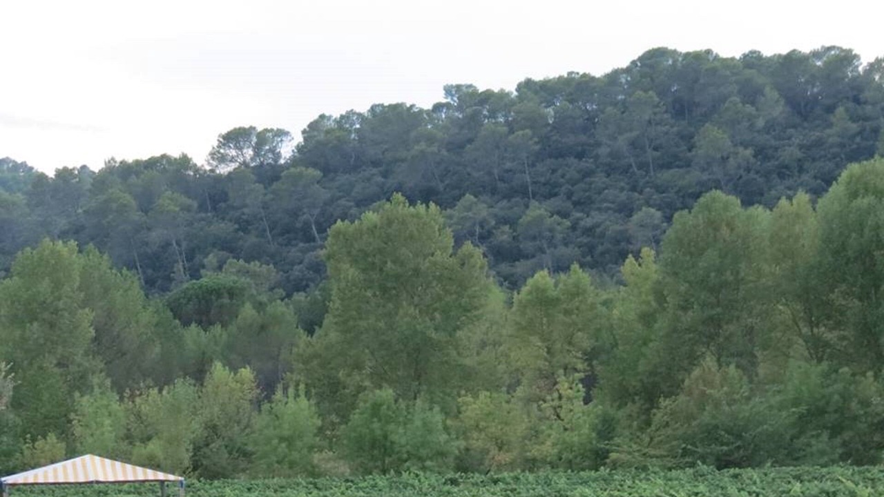 Photo of Others in Le Thoronet