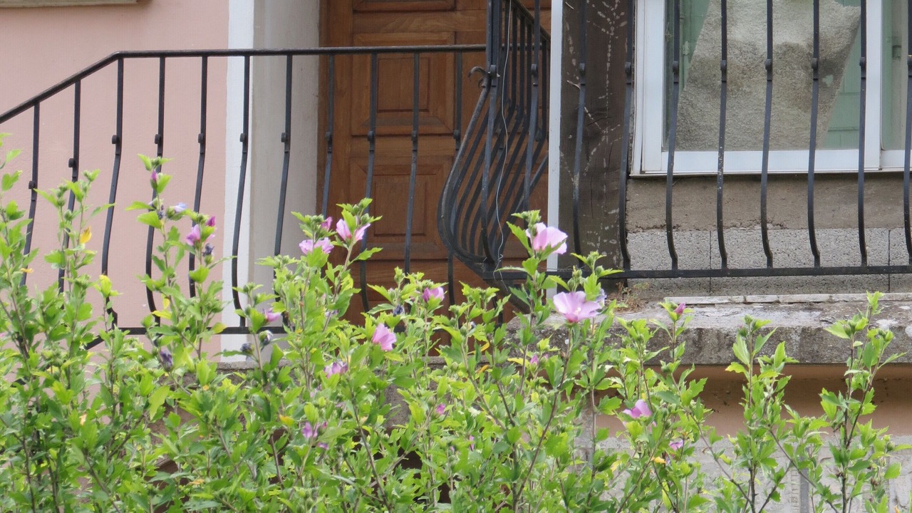 Photo of Outdoor in Le Thoronet