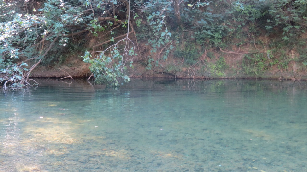 Photo of Others in Le Thoronet