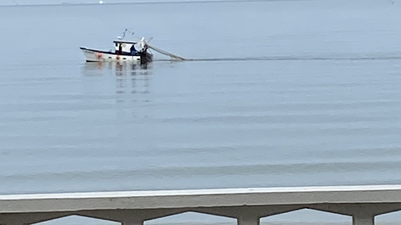 Photo of Outdoor in Blonville-sur-Mer