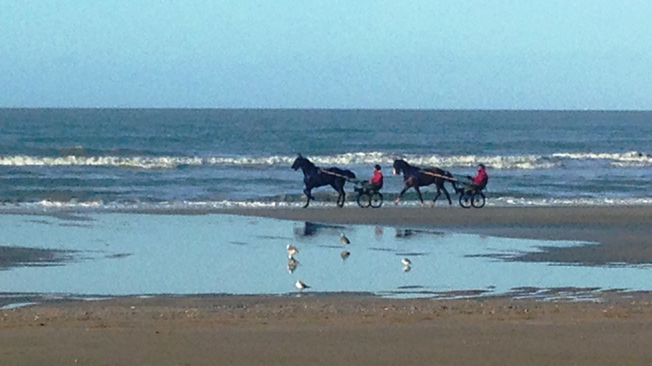 Photo of Others in Blonville-sur-Mer