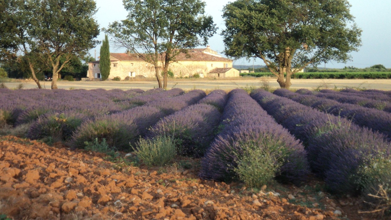 Photo of Outdoor in Sillans-la Cascade