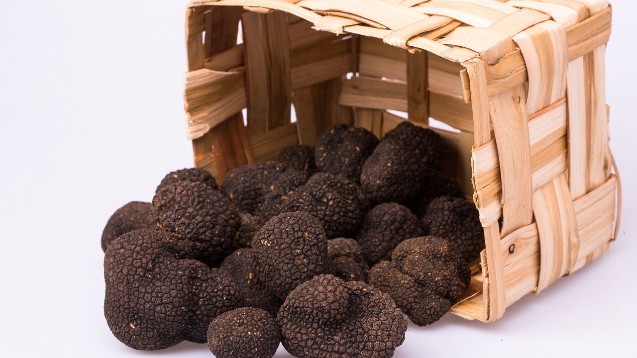 Photo of Others in Sillans-la Cascade