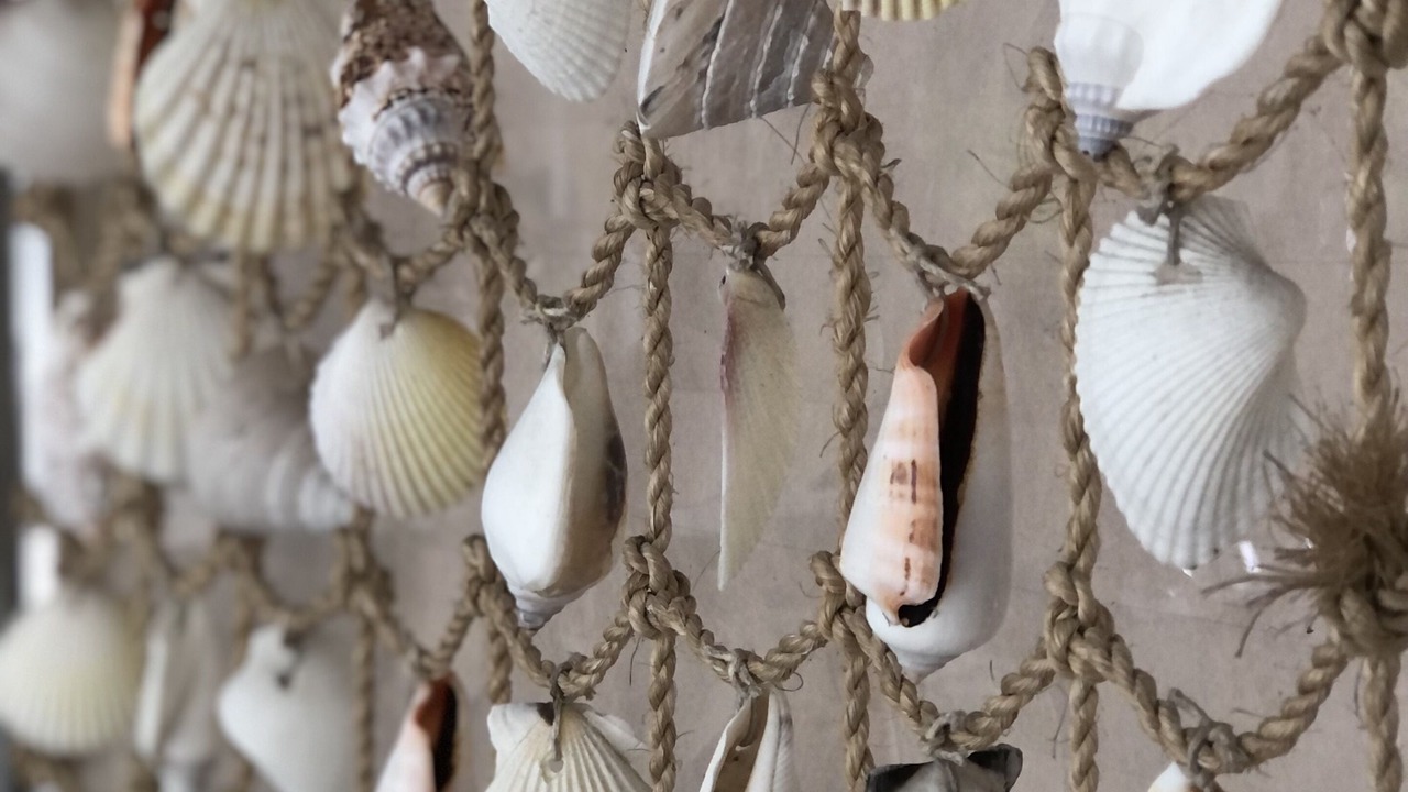 Photo of Others in Riverview Estates