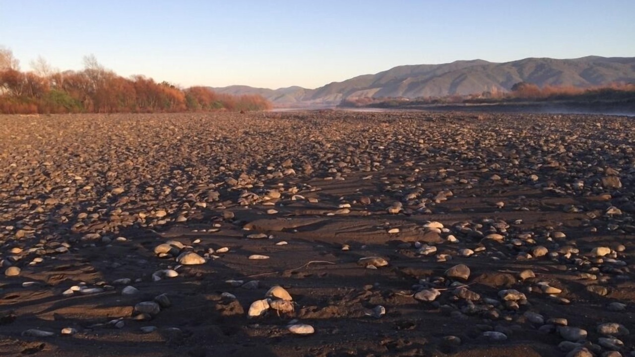 Photo of Others in Greytown