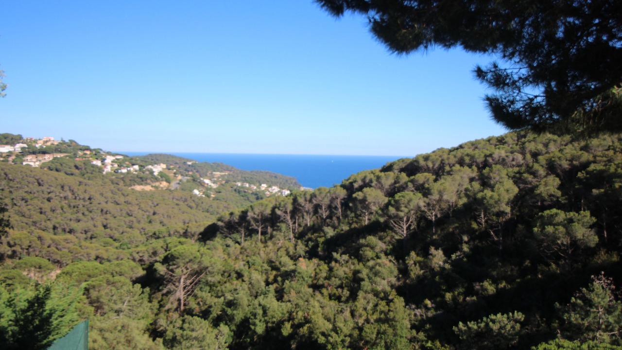 Photo of Others in Lloret de Mar