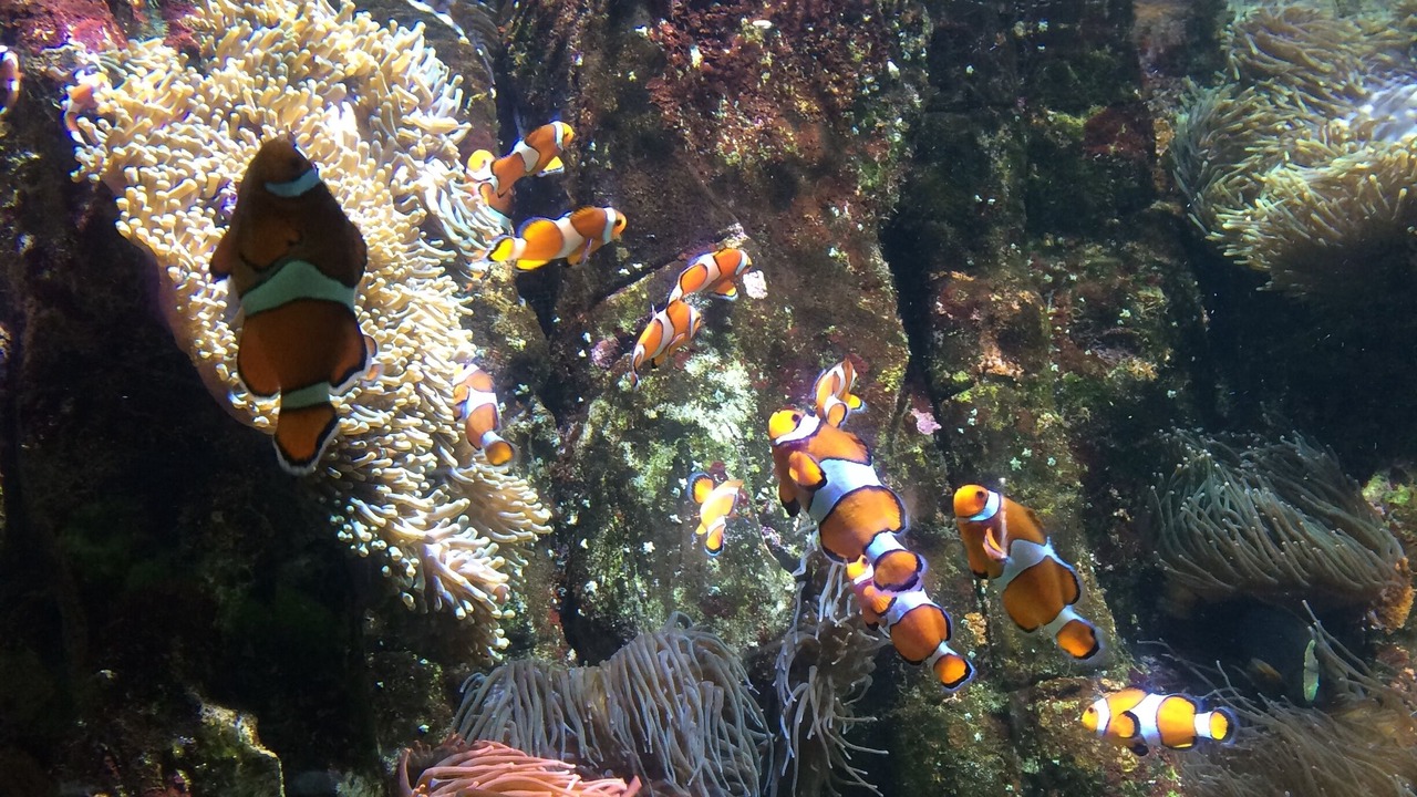 Photo of Outdoor in Etaules