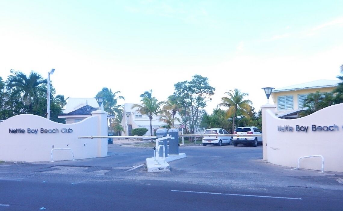 Photo of Others in Nettle Bay