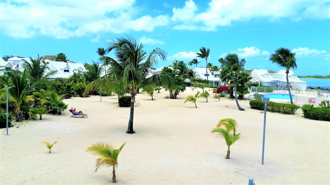 Photo of Others in Nettle Bay