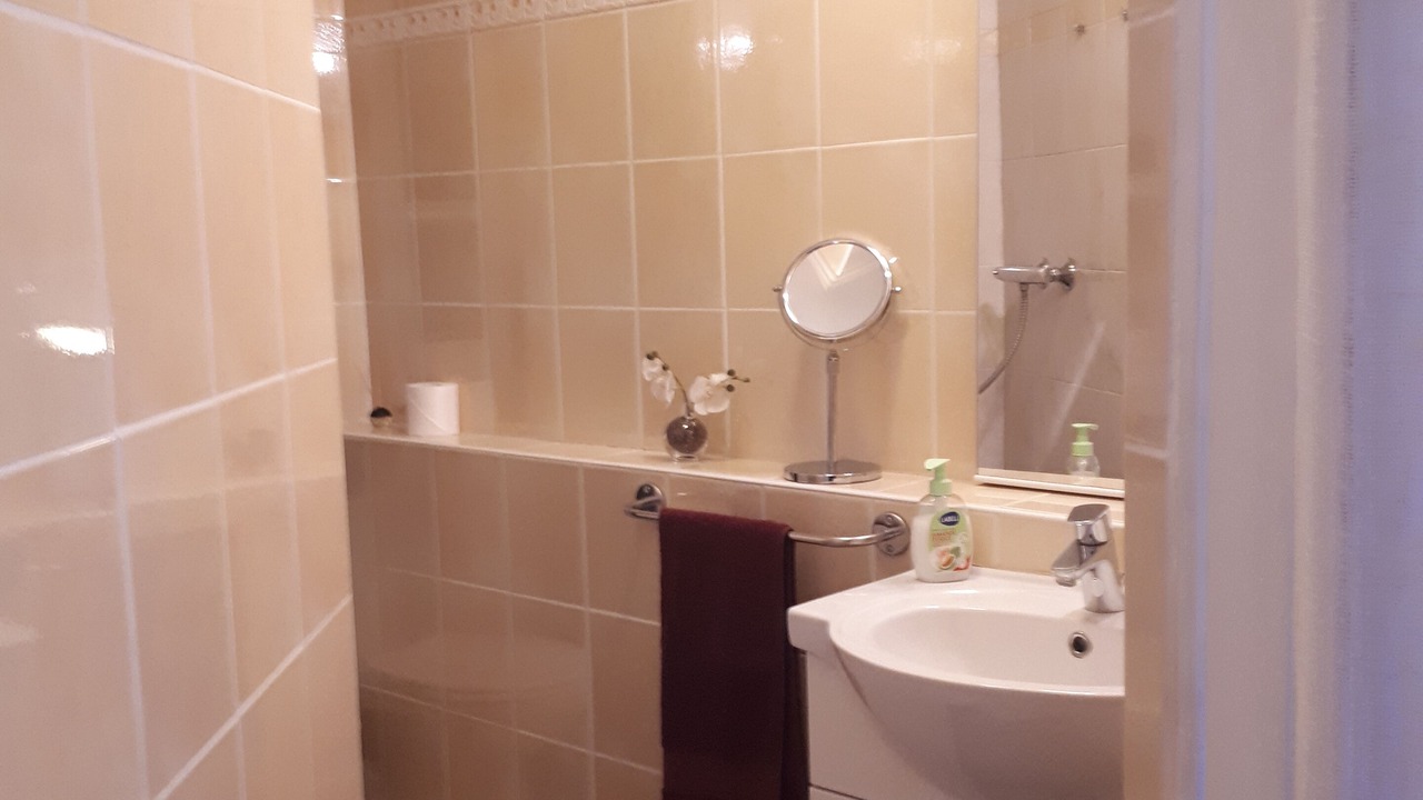 Photo of Bathroom in Coaraze