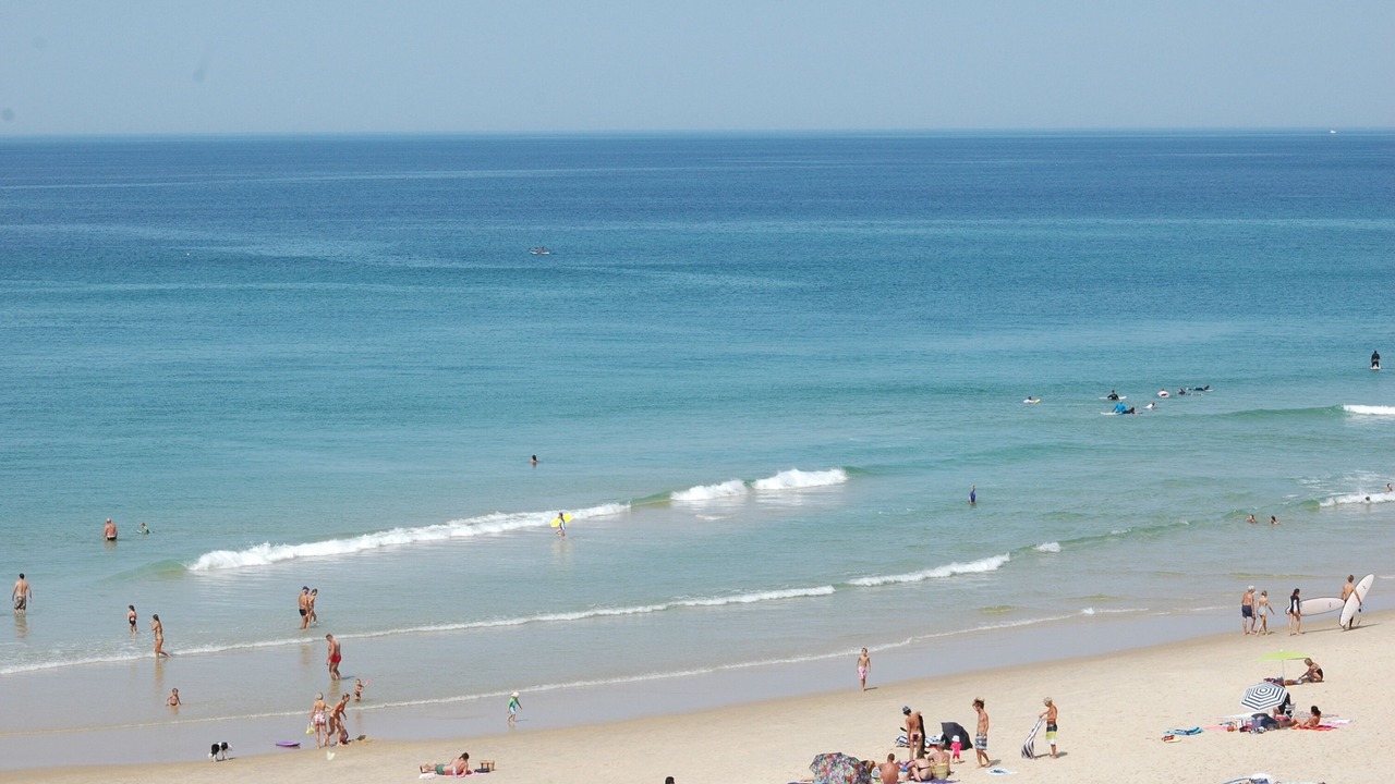 Photo of Others in Biscarrosse Plage