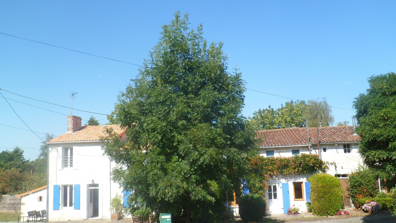 Photo of Others in Moncoutant