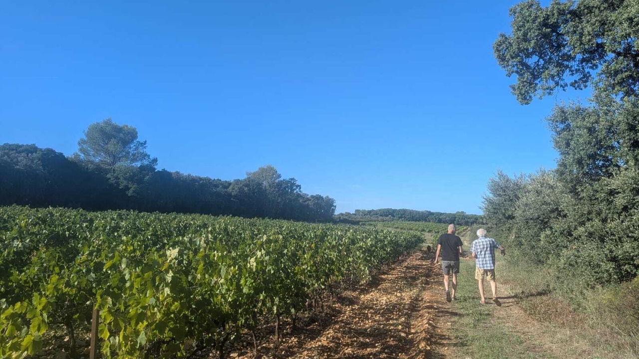 Photo of Others in Souvignargues
