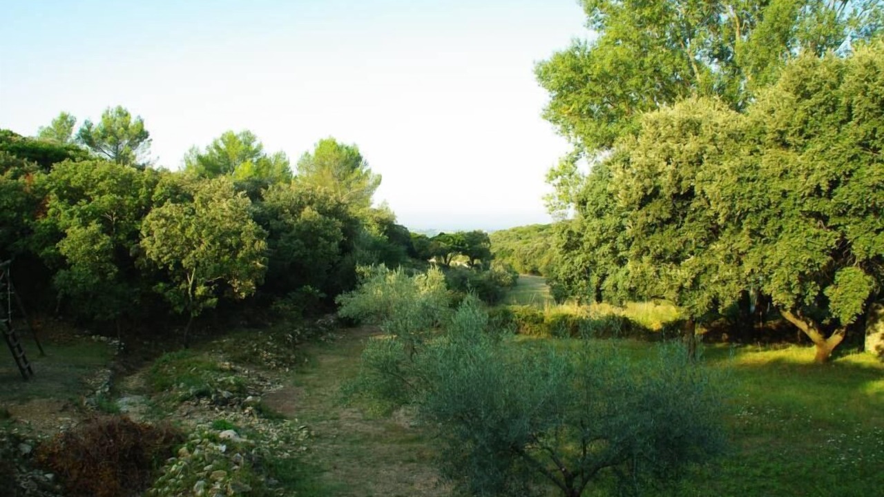 Photo of Outdoor in Souvignargues