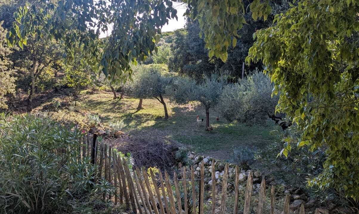 Photo of Outdoor in Souvignargues