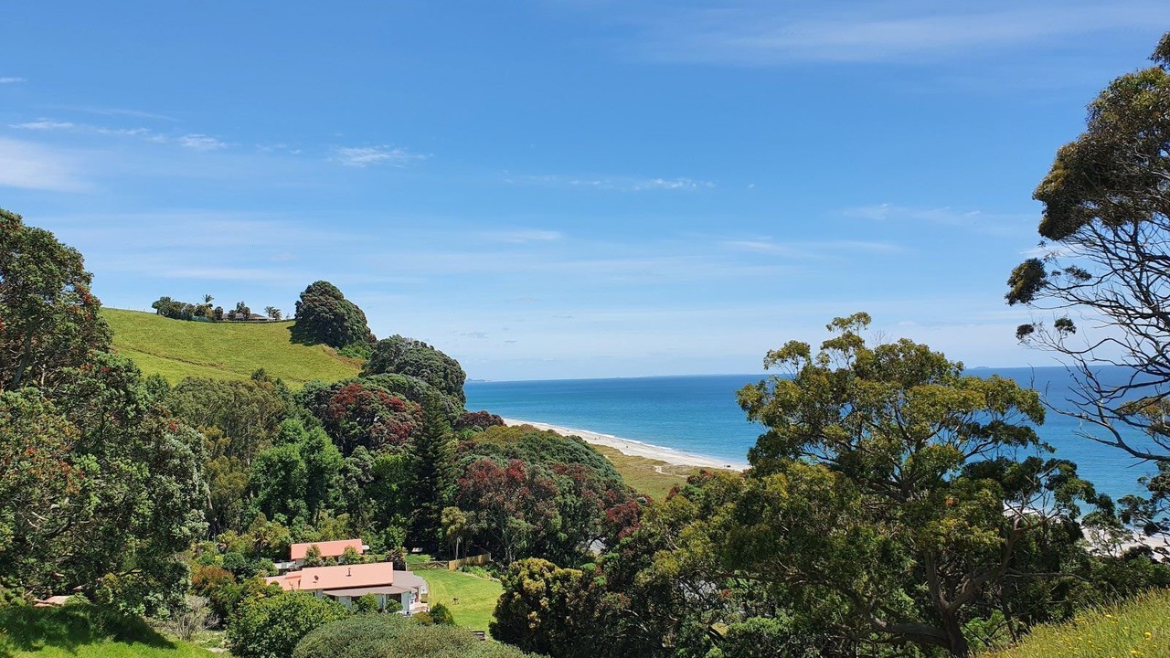 Photo of Others in Bay of Plenty Region