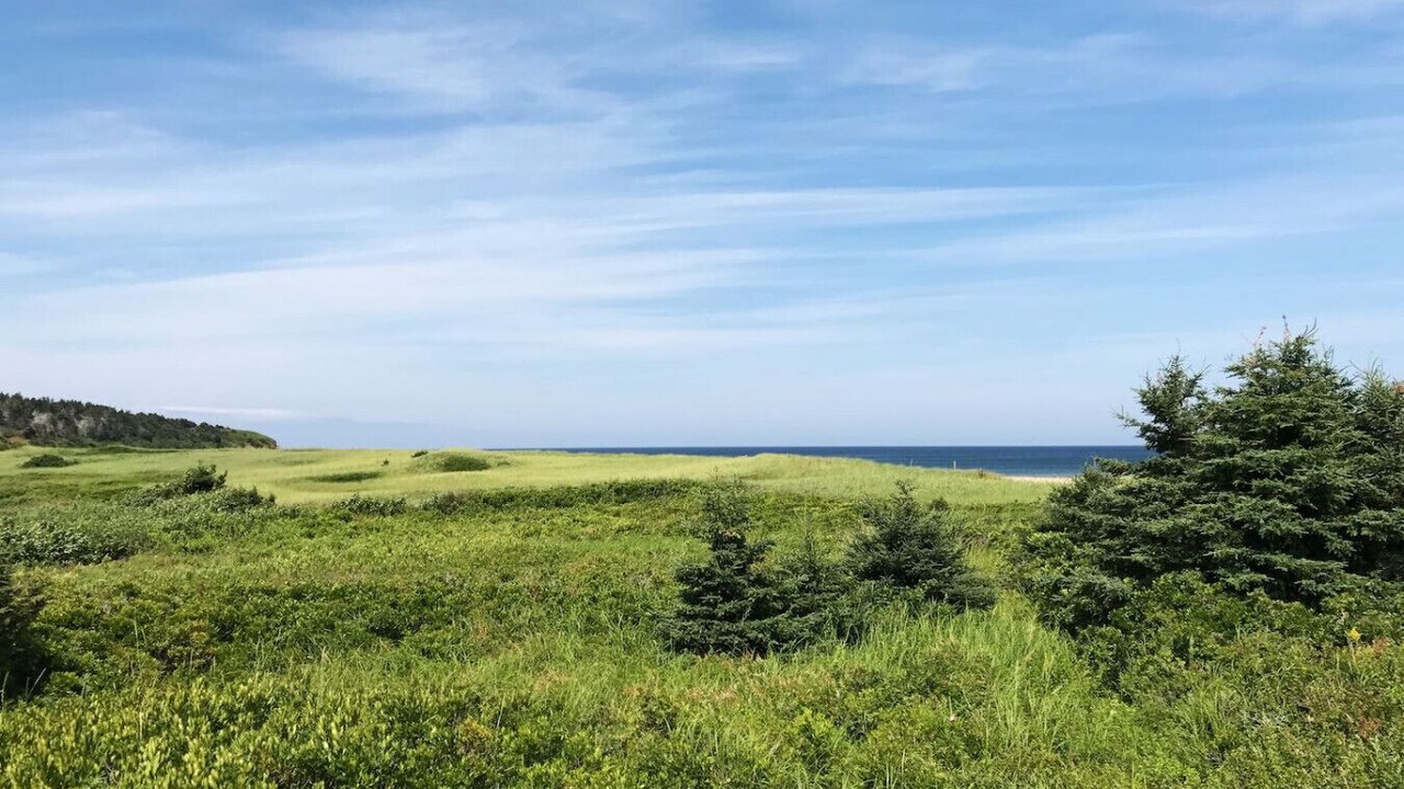 Photo of Others in Colindale