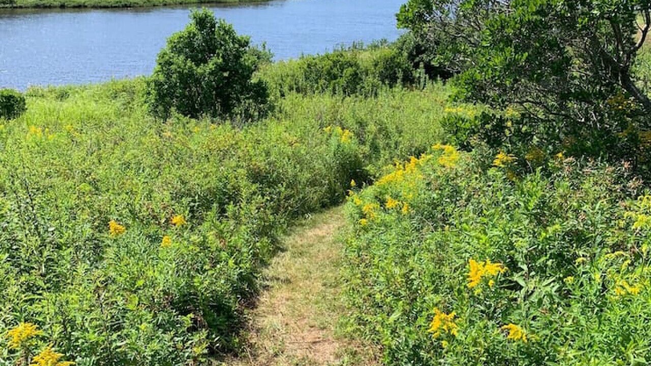 Photo of Others in Colindale