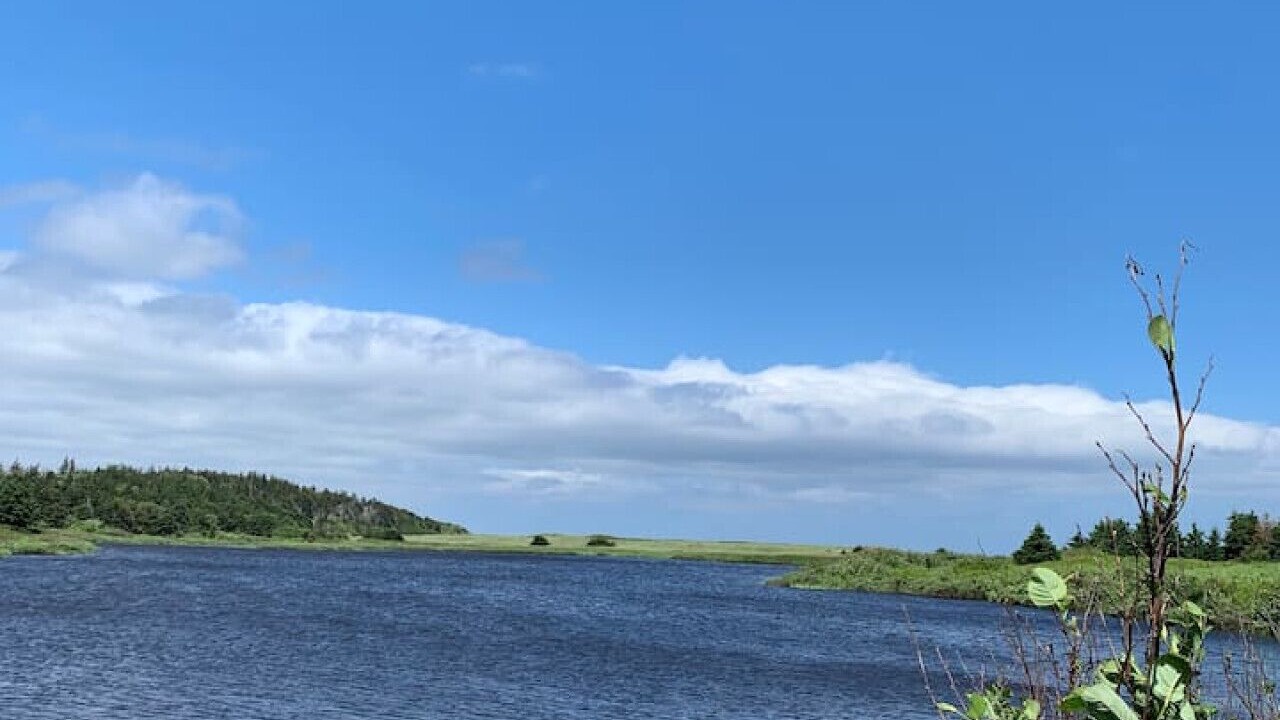 Photo of Others in Colindale