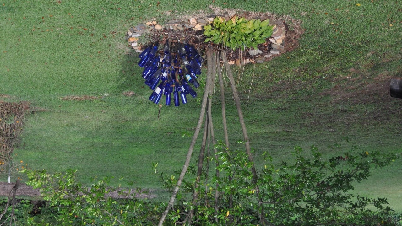 Photo of Outdoor in Carrollton