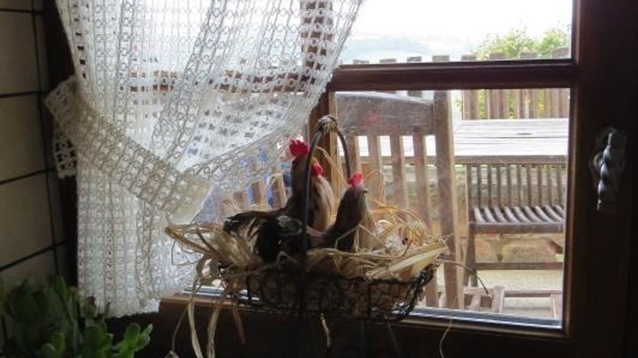 Photo of Others in Chirassimont