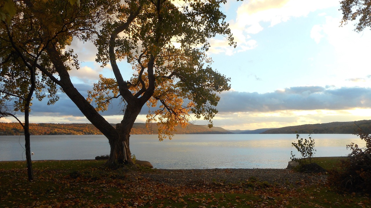 Photo of Others in Canandaigua
