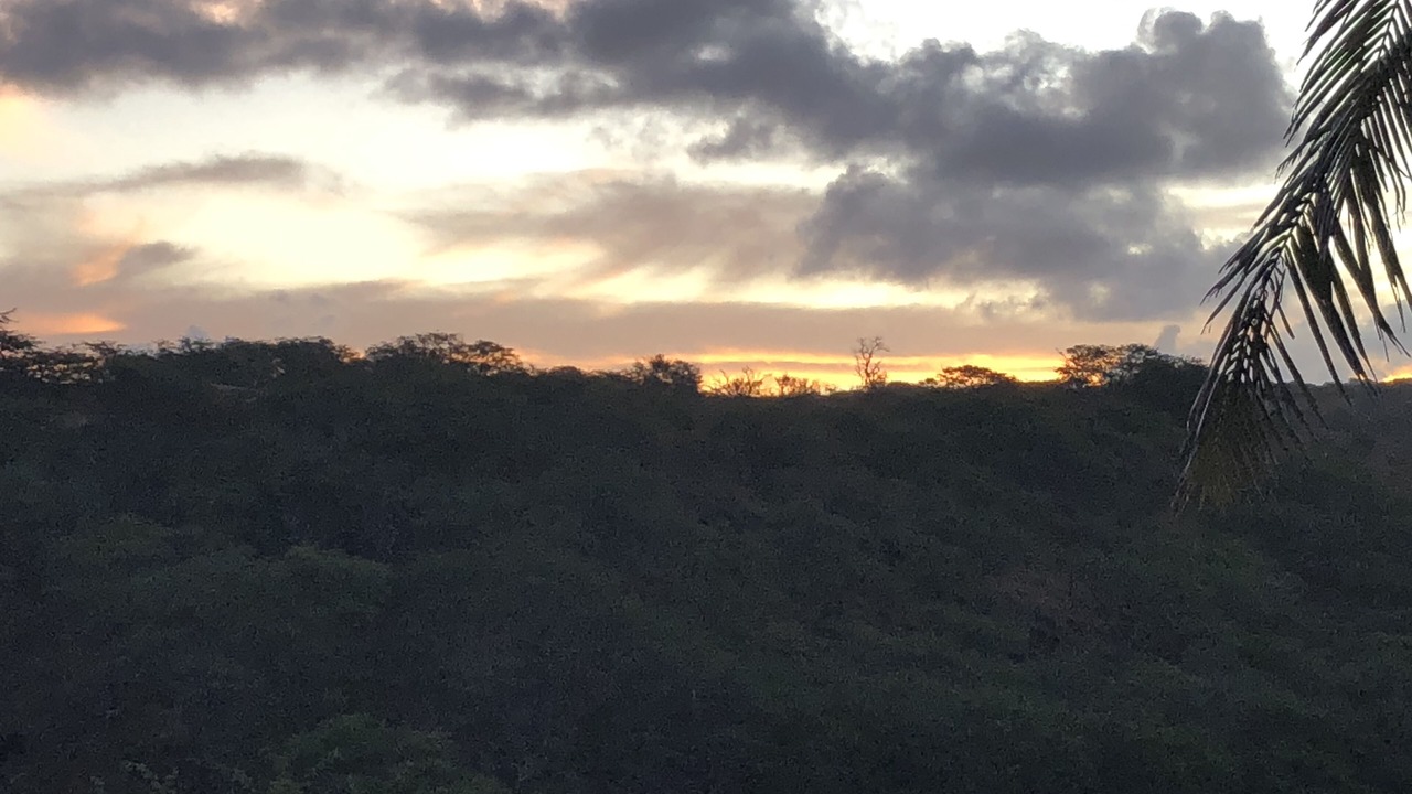 Photo of Others in Maunaloa