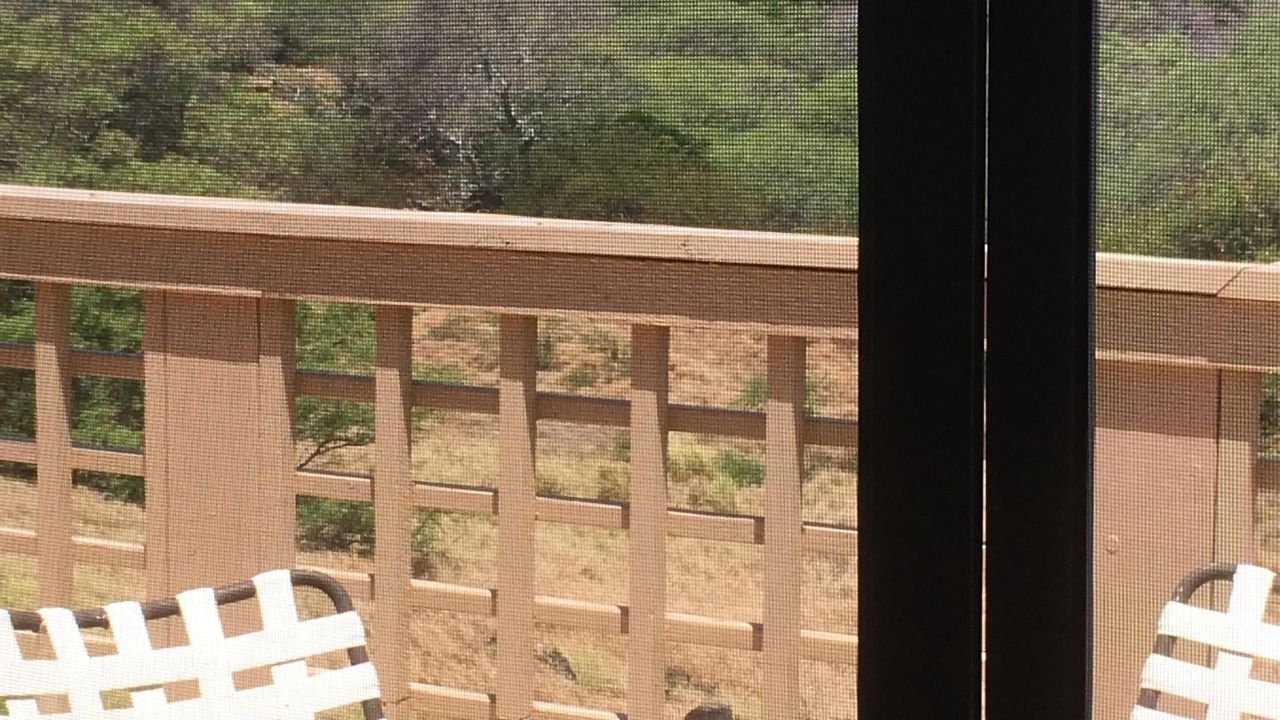 Photo of Others in Maunaloa