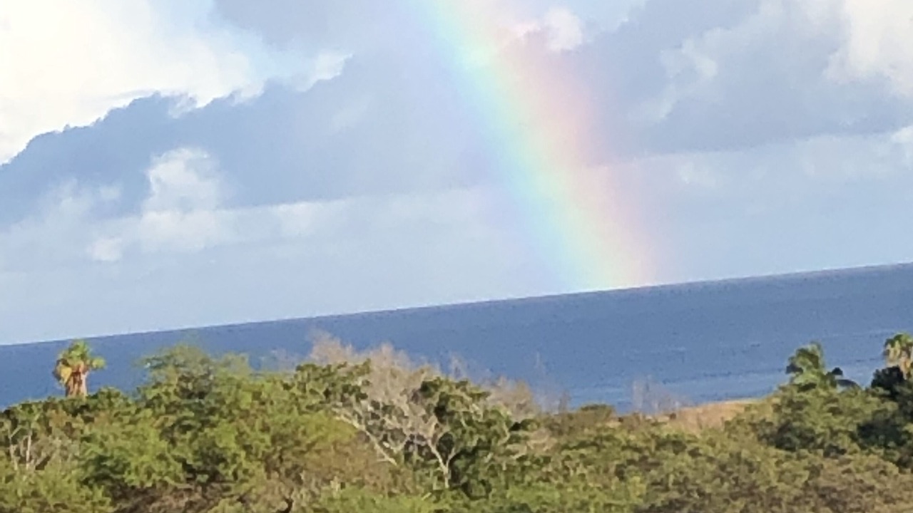 Photo of Others in Maunaloa