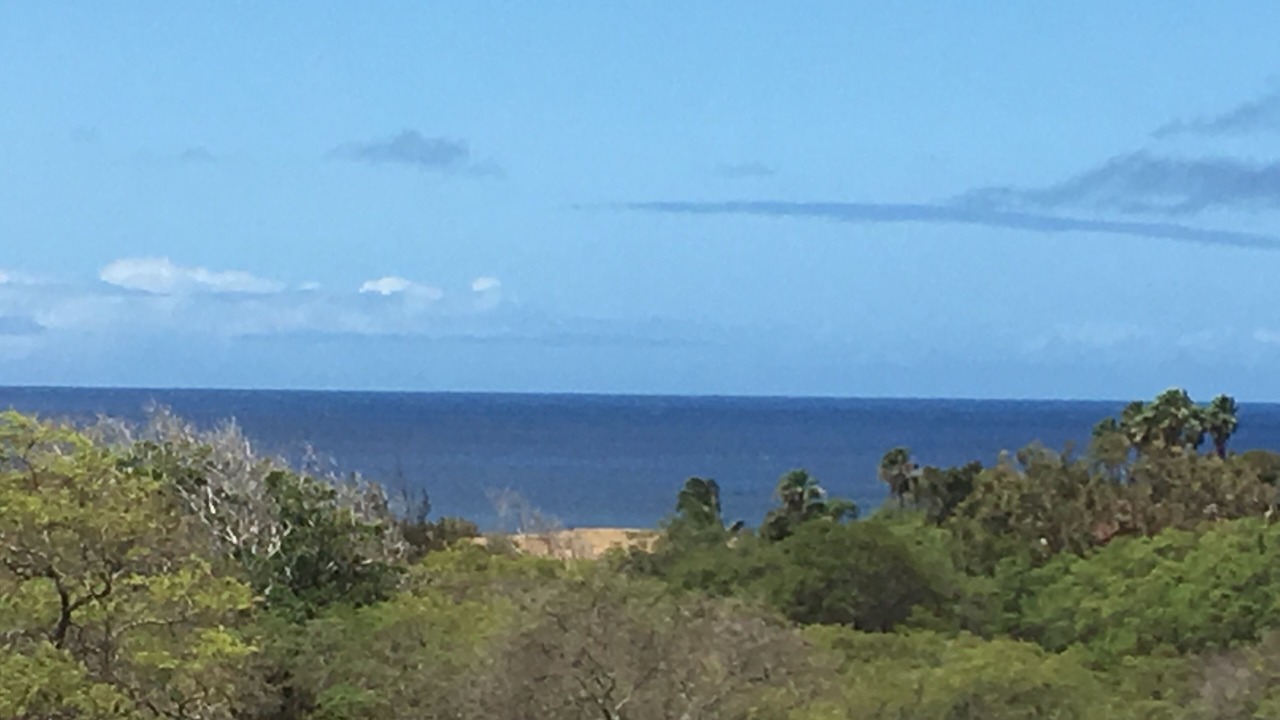 Photo of Others in Maunaloa